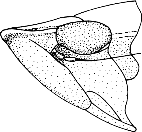 Abb.4