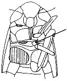 Abb.4