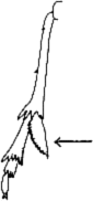 Abb.5