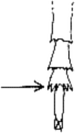 Abb.6