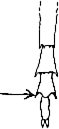Abb.7