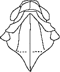 Abb.13