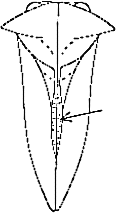 Abb.14