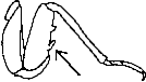 Abb.15