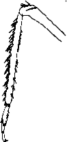 Abb.17