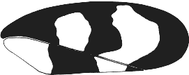 Abb.1