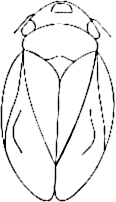 Abb.3