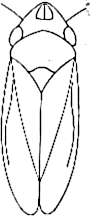 Abb.4