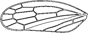 Abb.4