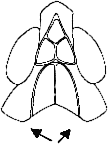 Abb.2