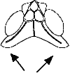 Abb.3