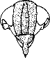 Abb.19