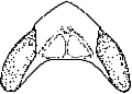 Abb.34