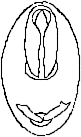 Abb.35