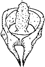 Abb.42