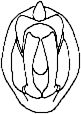 Abb.46