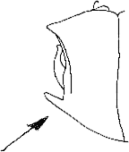 Abb.49