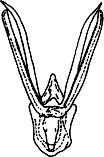 Abb.3a