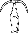 Abb.3b