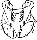Abb.4