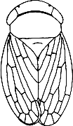 Abb.5