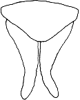 Abb.11b