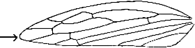Abb.26a