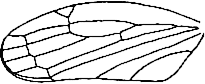 Abb.27a