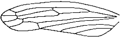 Abb.27b