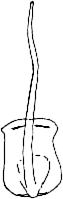 Abb.47c