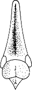 Abb.2