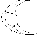 Abb.2