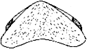 Abb.3
