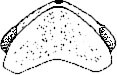 Abb.4