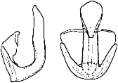 Abb.10