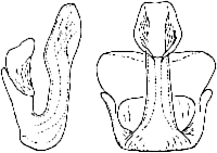 Abb.11
