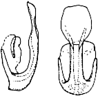 Abb.14