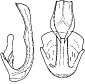 Abb.15