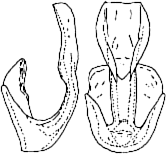 Abb.16