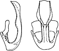 Abb.17