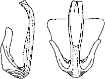 Abb.19