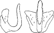 Abb.20
