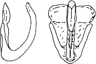 Abb.22