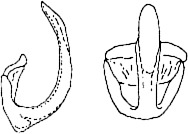 Abb.28