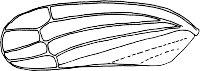 Abb.8
