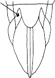 Abb.10