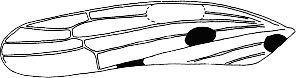 Abb.11