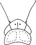 Abb.17
