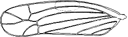 Abb.19