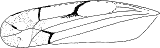 Abb.26